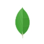 MongoDB